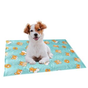 import placeholder for 11701