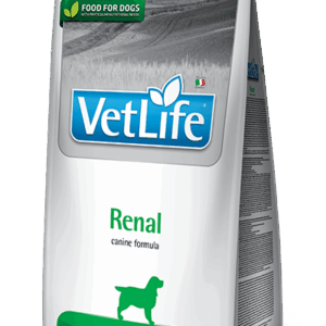 import placeholder for 11230