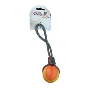 import placeholder for 11574