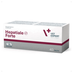 import placeholder for 10856