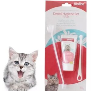 import placeholder for 11552