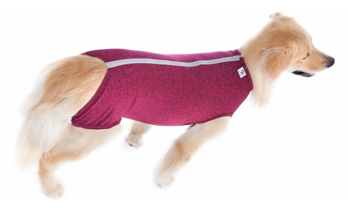 traje post operatorio castraciÓn petmed perro traje post operatorio castraciÓn petmed perro