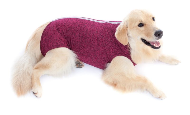 traje post operatorio castraciÓn petmed perro traje post operatorio castraciÓn petmed perro