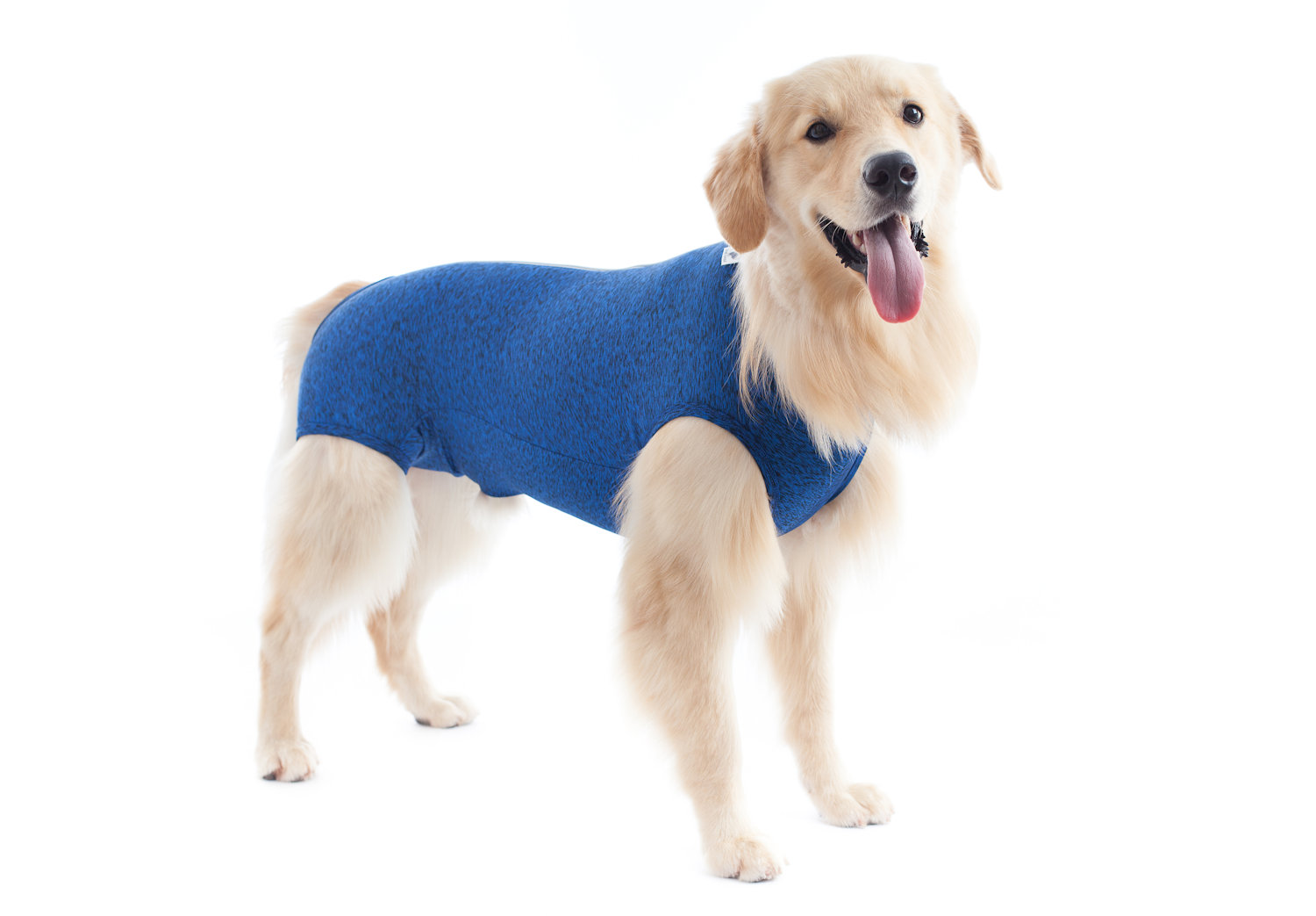 import placeholder for 5055 import placeholder for 5055