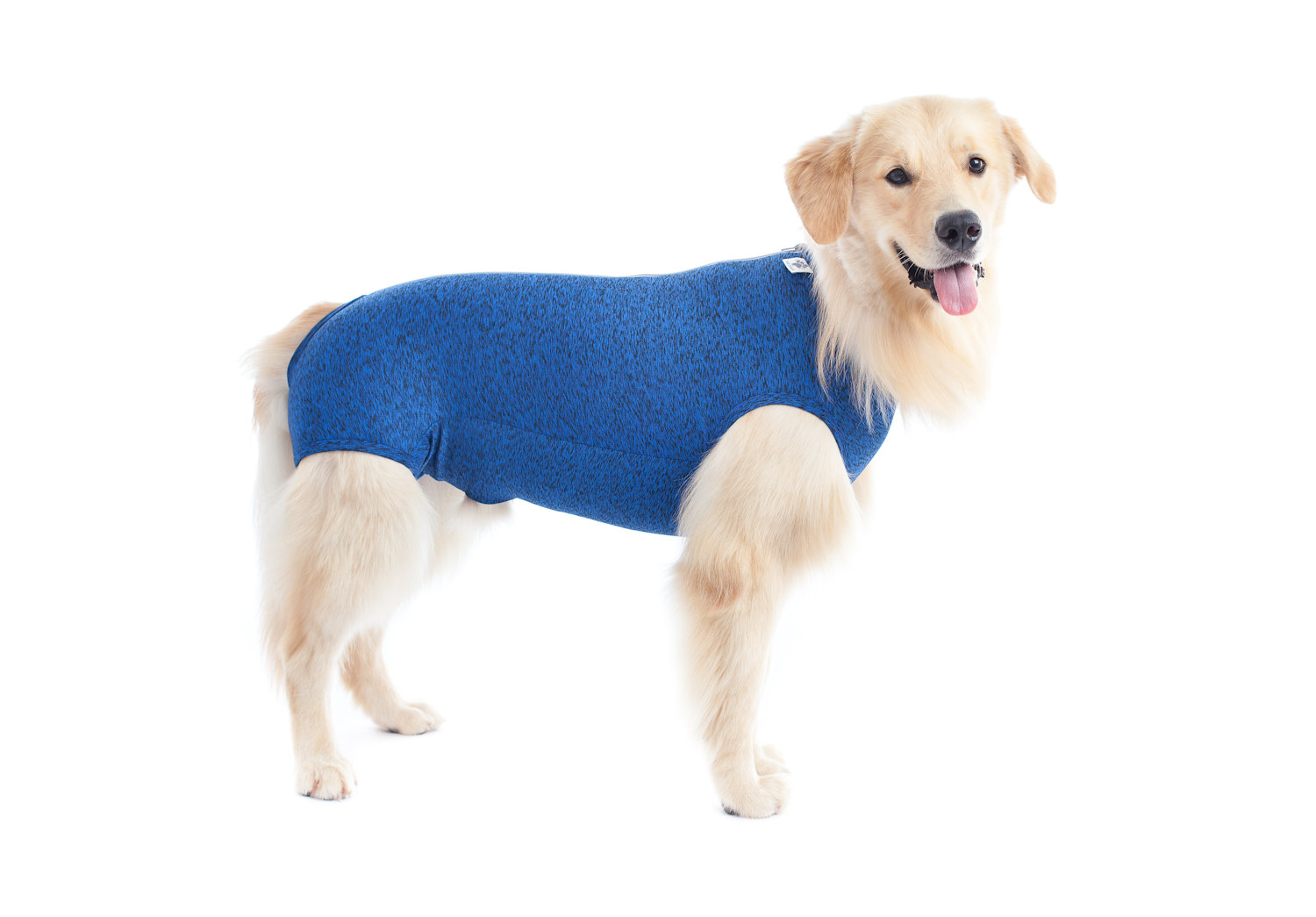 traje post operatorio castraciÓn petmed perro traje post operatorio castraciÓn petmed perro