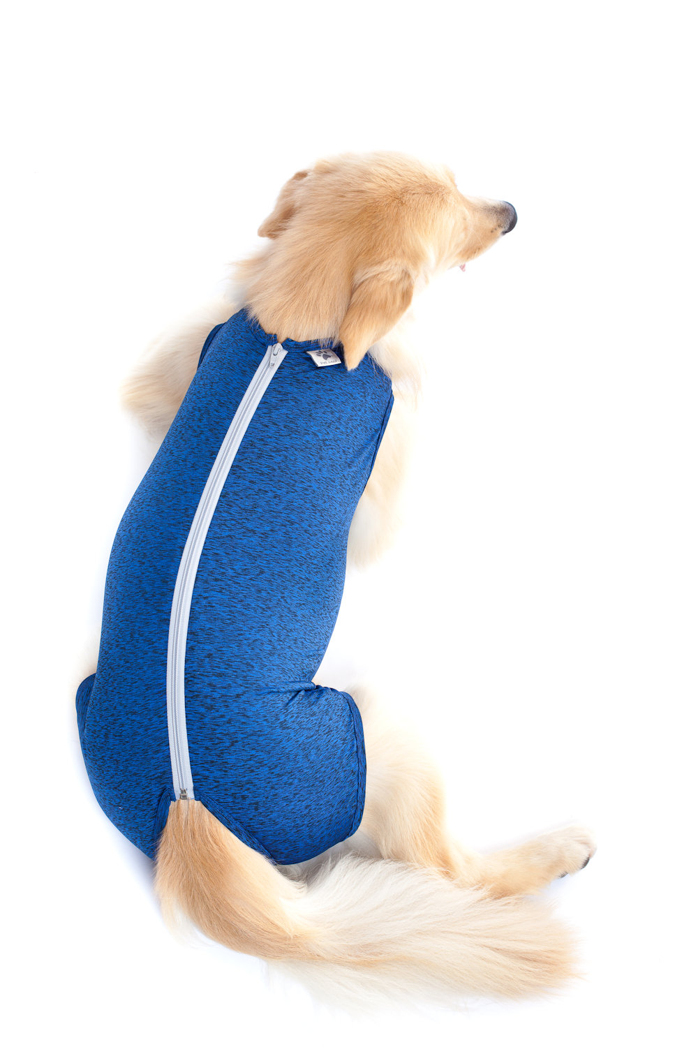 traje post operatorio castraciÓn petmed perro traje post operatorio castraciÓn petmed perro