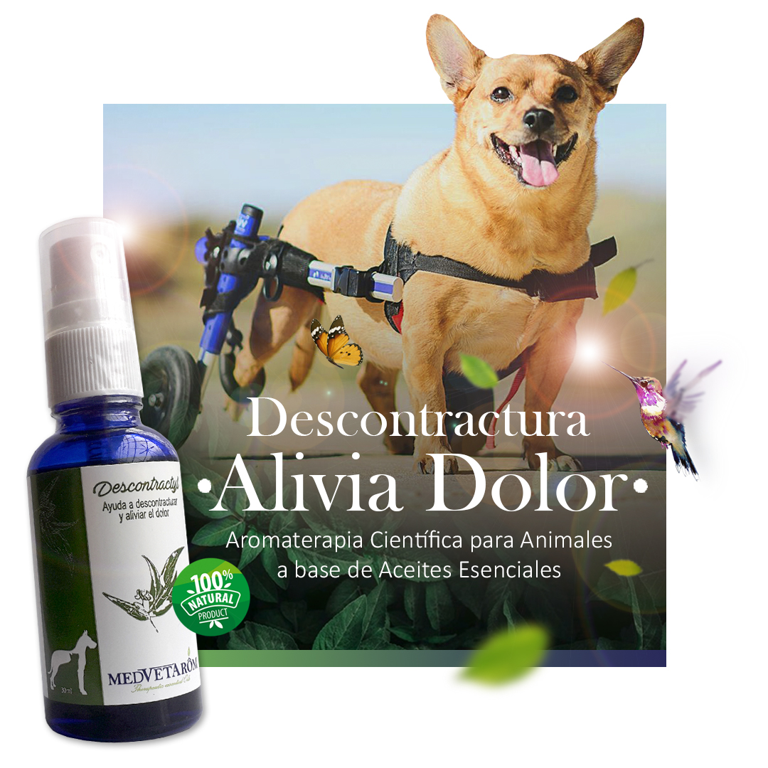 descontractyl lociÓn spray descontractyl lociÓn spray