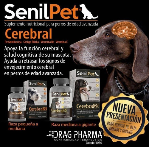 senilpet cerebral 20 raza grande senilpet cerebral 20 raza grande