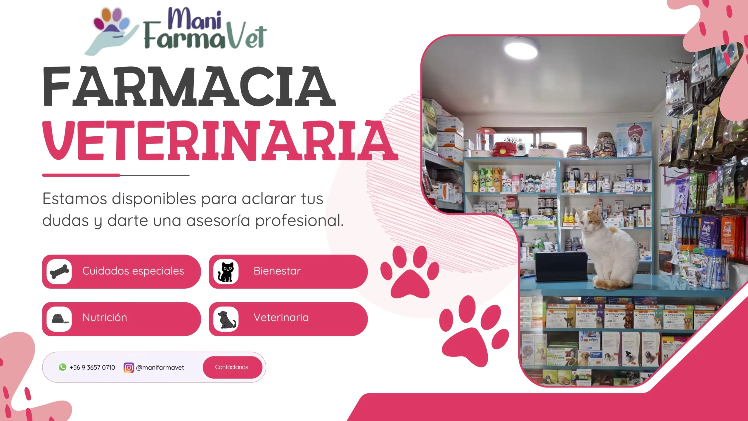farmacia veterinaria