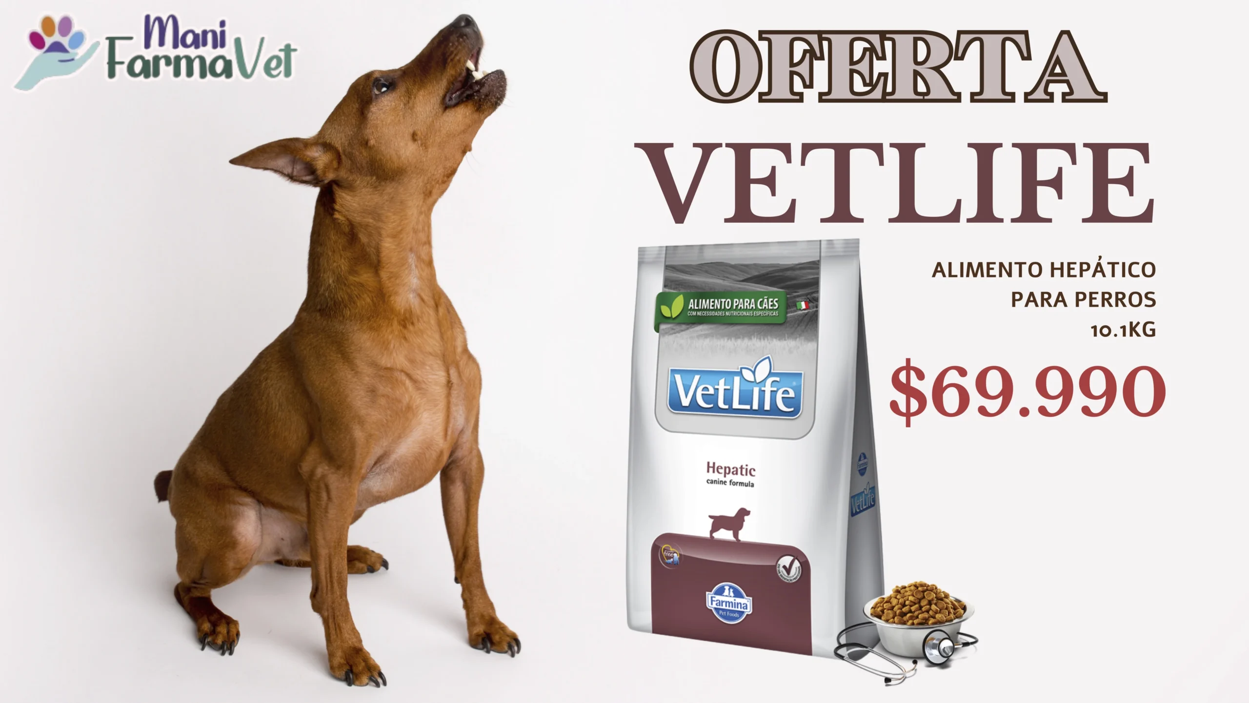 oferta vetlife