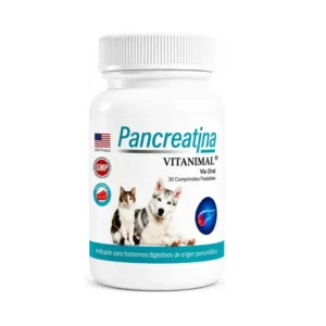 pancreatina