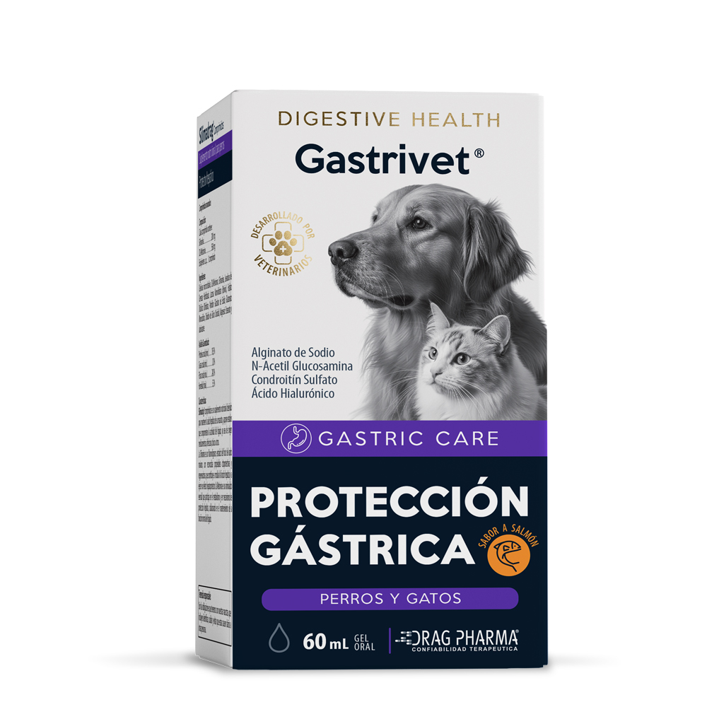 gastrivet 2026 gastrivet 2026